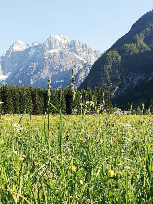 Affittacamere Krajnc Malborghetto Valbruna Exterior foto