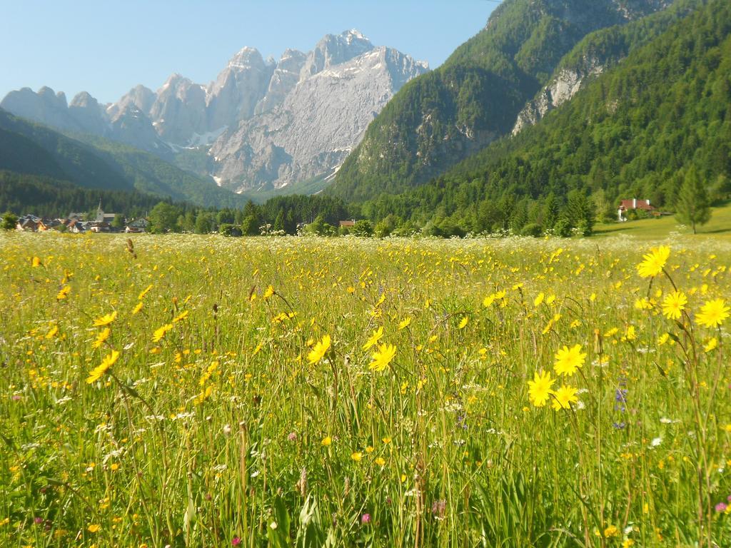 Affittacamere Krajnc Malborghetto Valbruna Exterior foto